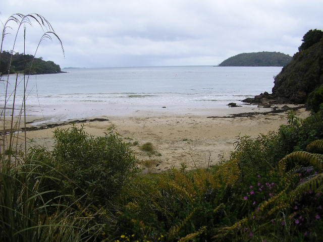 Butterfield beach, Stewart island by NinaWatson