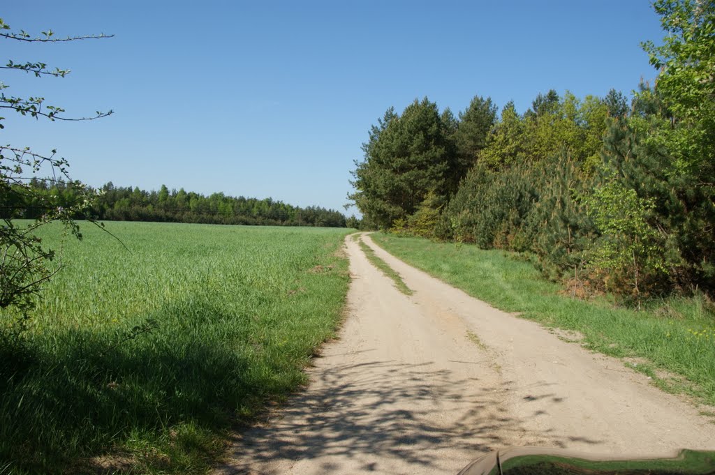 Droga countryside road Wilczoruda Parcela Poland by marlacho