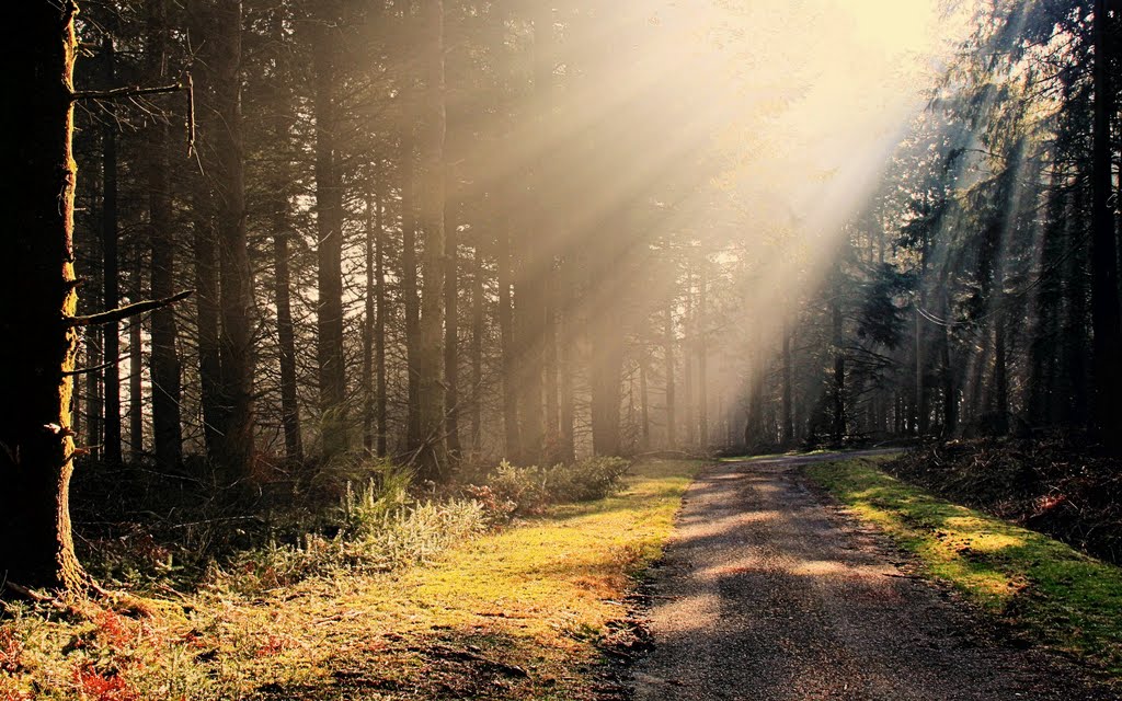 La route du signal by mgaillard