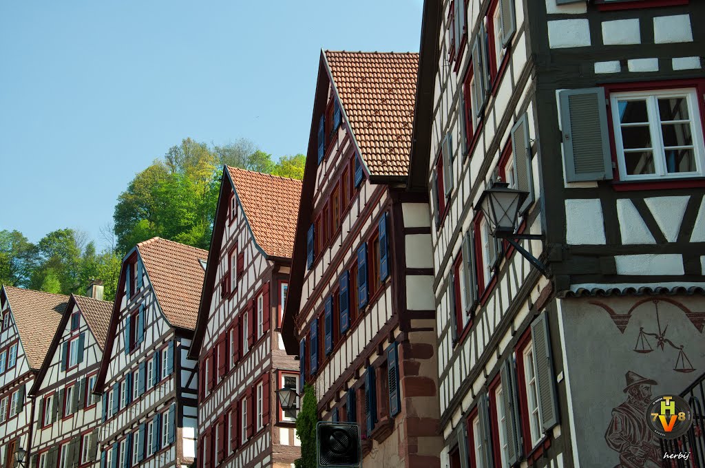 Altstadt Schiltach by Herbij