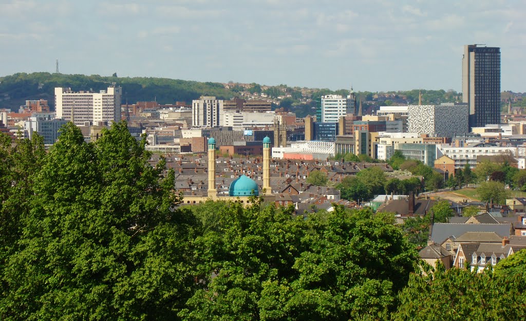 Section of the city centre (taken from Meersbrook Park), Sheffield S8/S2/S1/S4 by sixxsix