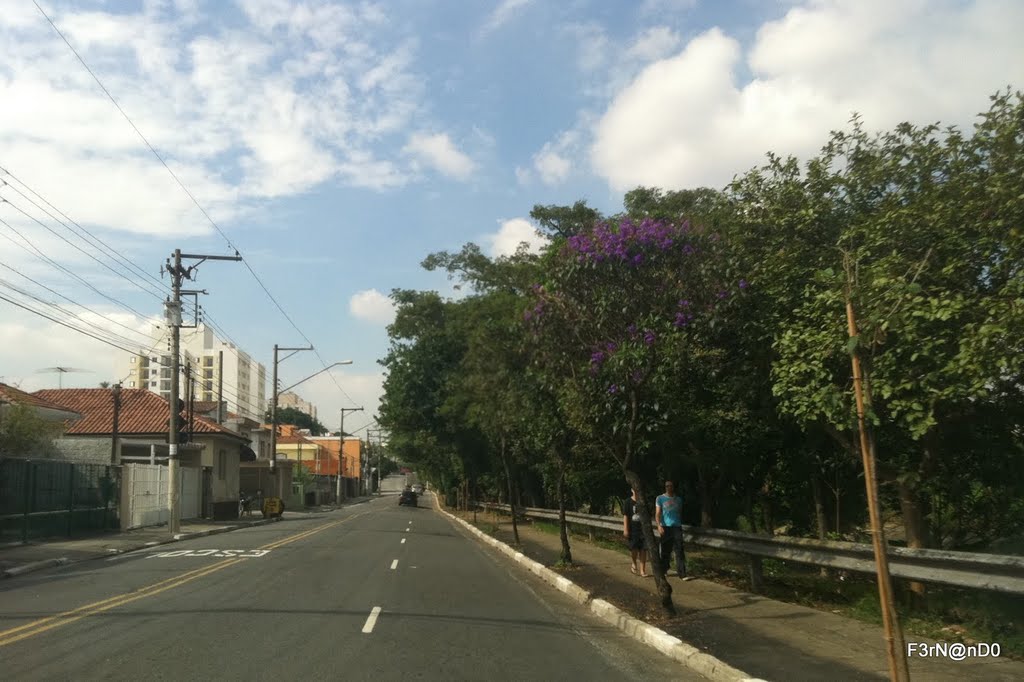 Penha - SP by FernandoSantos