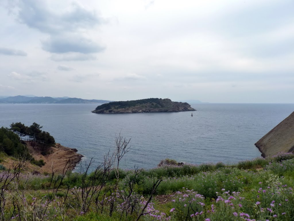 L’île verte by franck.rip