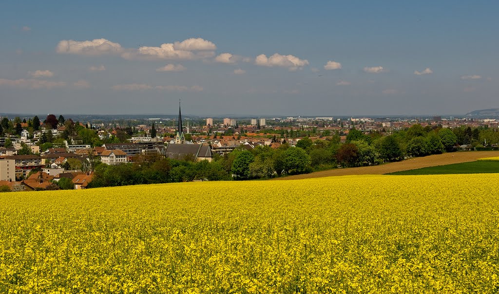 Summer in April by Franz Sklenak