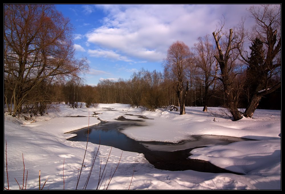 В парке ранней весной. Март 2011 by Synoptic