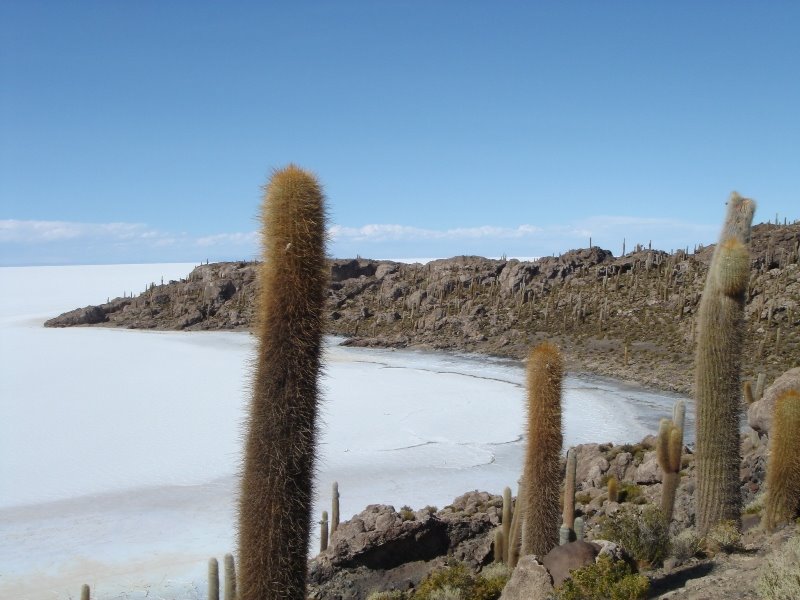 Bolivia Salar de Uyuni - Isla del Pescado by pres_fhe