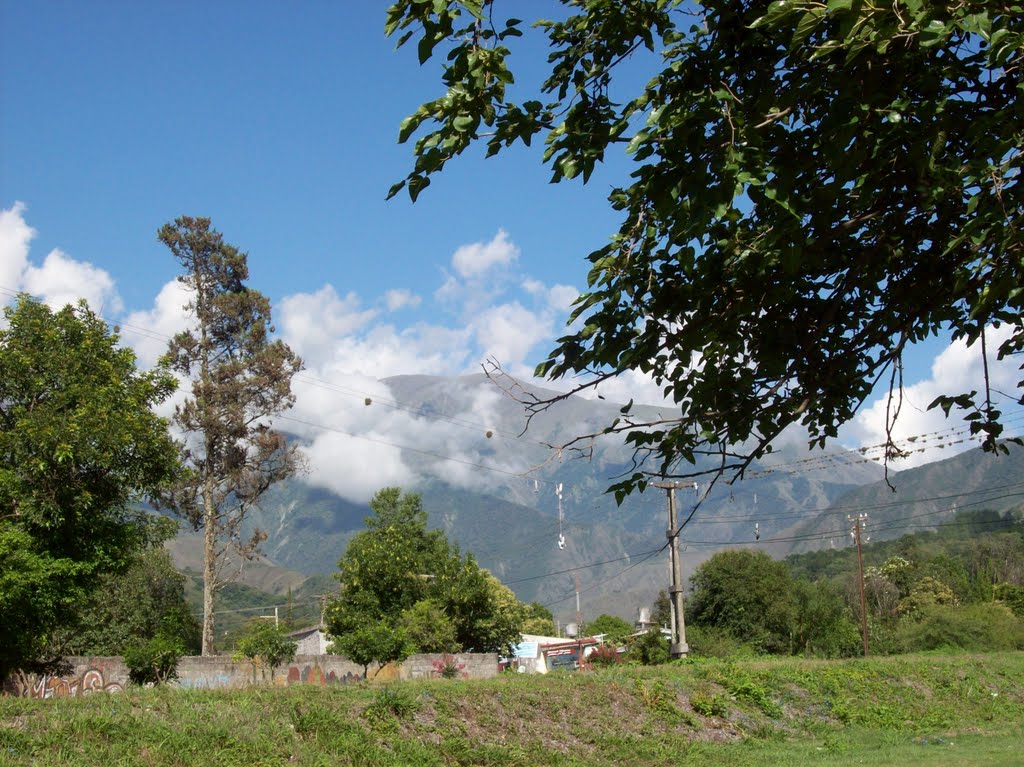 Campo Quijano by Leticia Perrouchoud