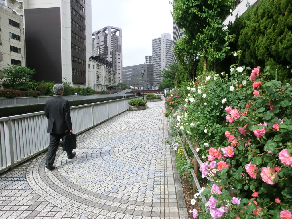 新芝橋から藻塩橋方面への遊歩道 by Rikizo