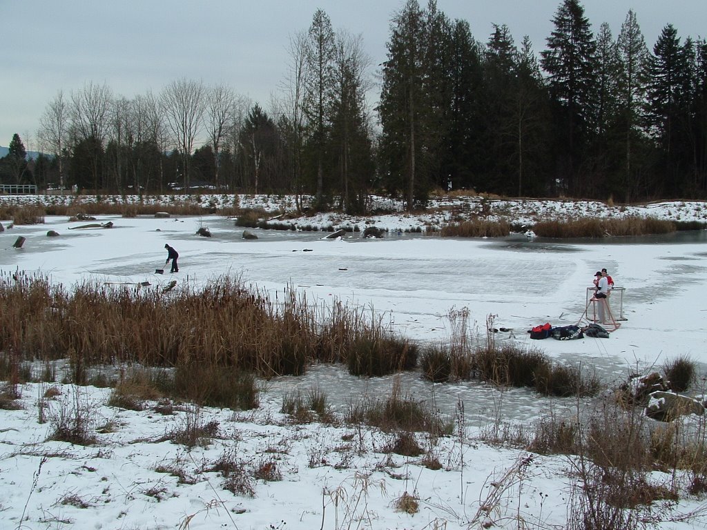 Guildford Heights Park pond hockey by SeeKay