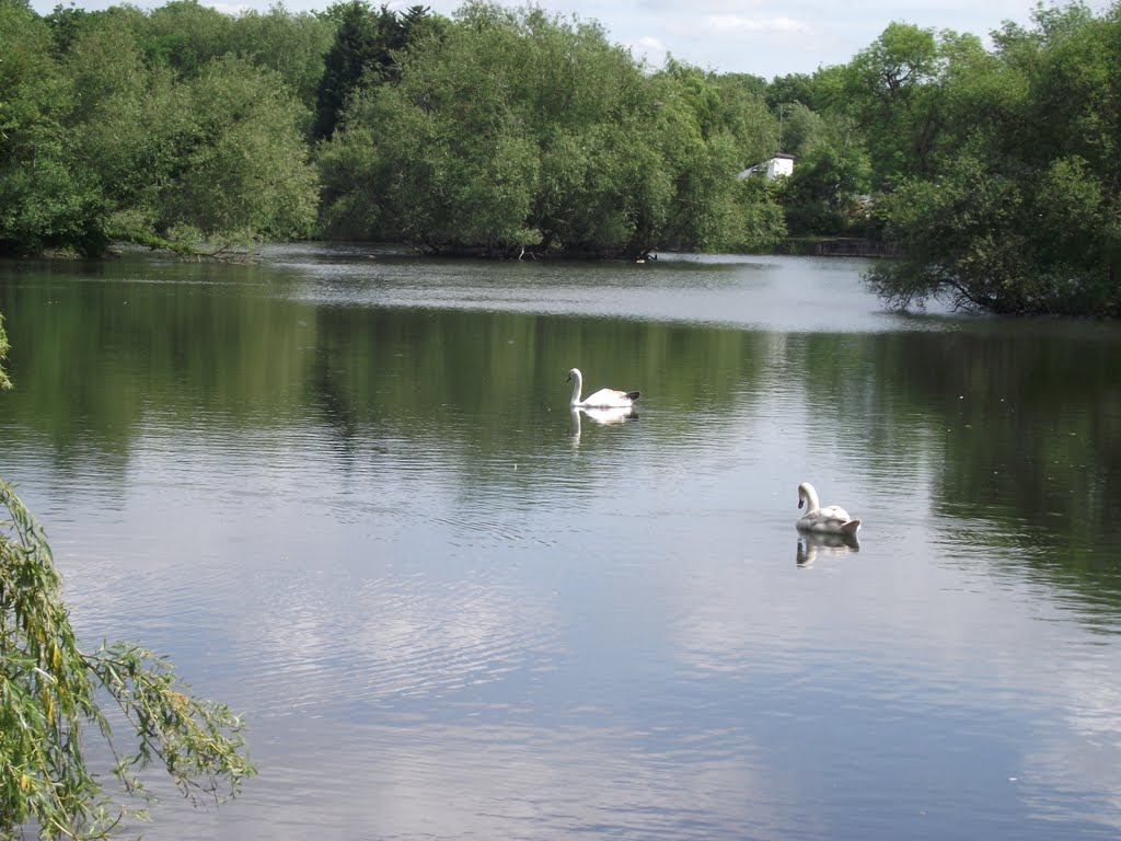 Little Britain lake, Borough of Hillingdon by tonywatson