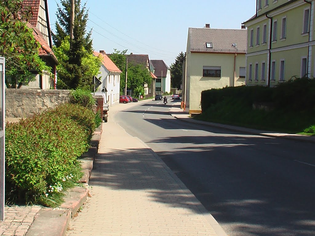 Waldenburger Straße in Richtung Altenburg. / Waldenburger road to Altenburg. by Karli04