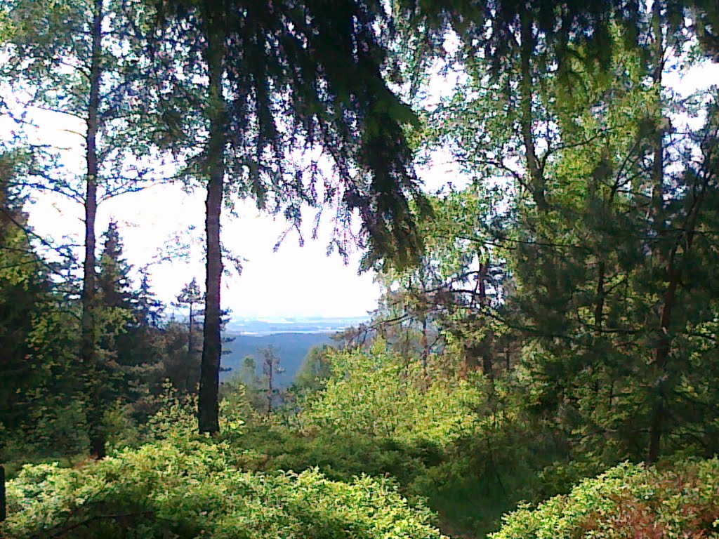 Blick vom Kornberg aus hinüber Richtung Döbraberg im Frankenwlad by wolfgang.kohl6463