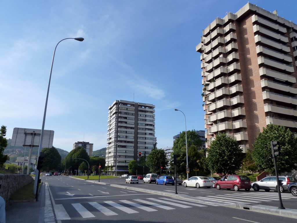 Avenida de Tolosa by helicongus