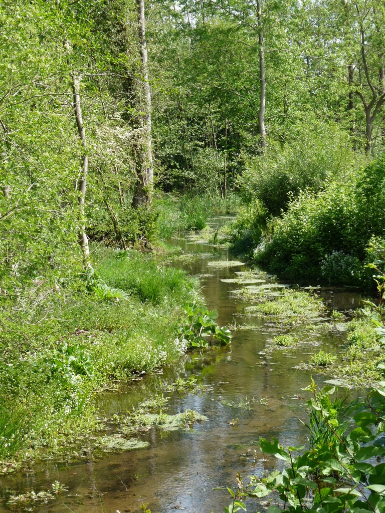 Oude Beek near Beekbergen by Gerben Groenewegen