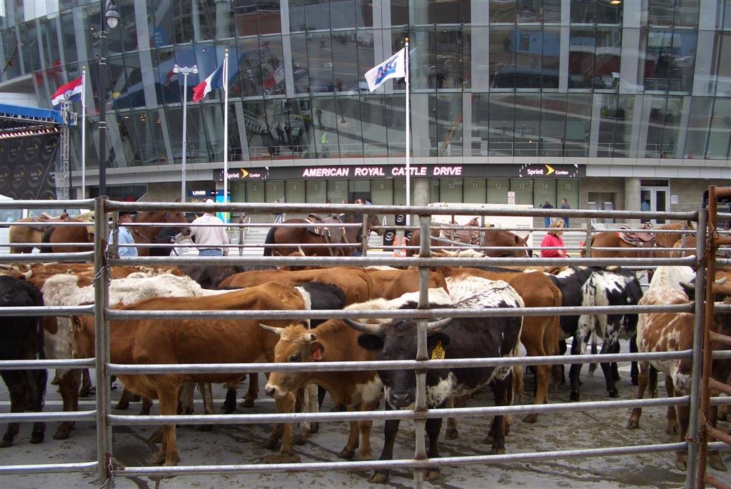 The end of the drive, in front of Sprint Center, on Grand, Kansas City, MO by Maxine Arnoldy