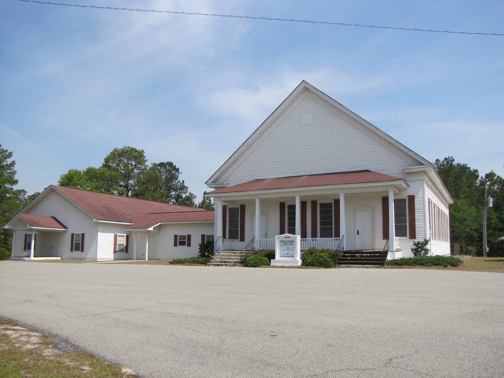 ROSEMARY PRIMITIVE BAPTIST CHURCH ... 1875 by Sarah O