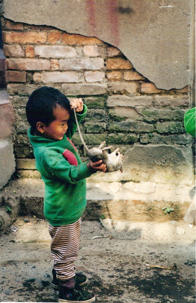 Nepali child with rat2 by Gadi Howard