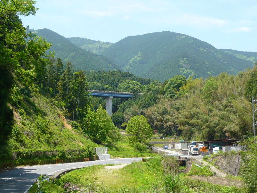 奈良県道30号「山麓線」の高架橋を望む 2011.5.14 by as365n2