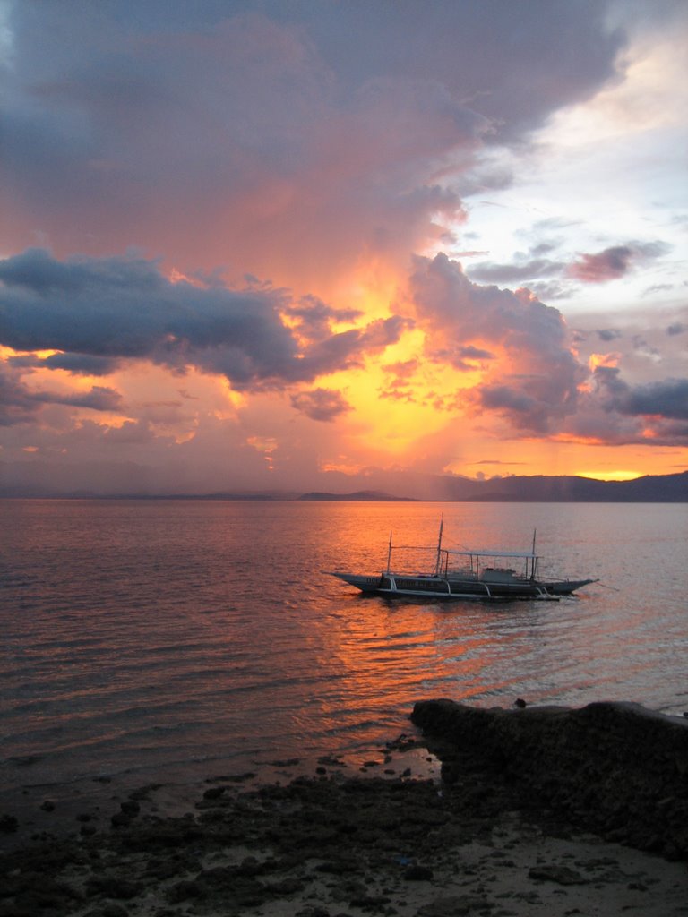 Moalboal, Cebu by Amanda and Paul Byrn…