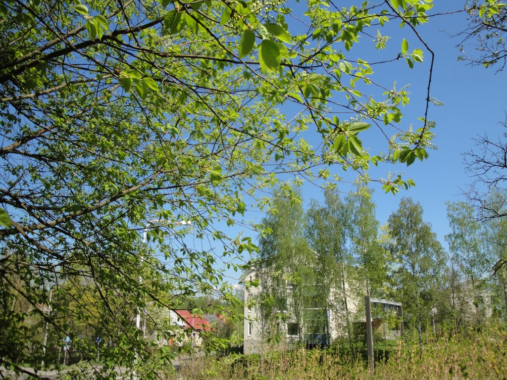 Spring scenery in Valkeakoski 11.05.2011 (Enlarge!) by Markus Nikkilä Photoshooter86