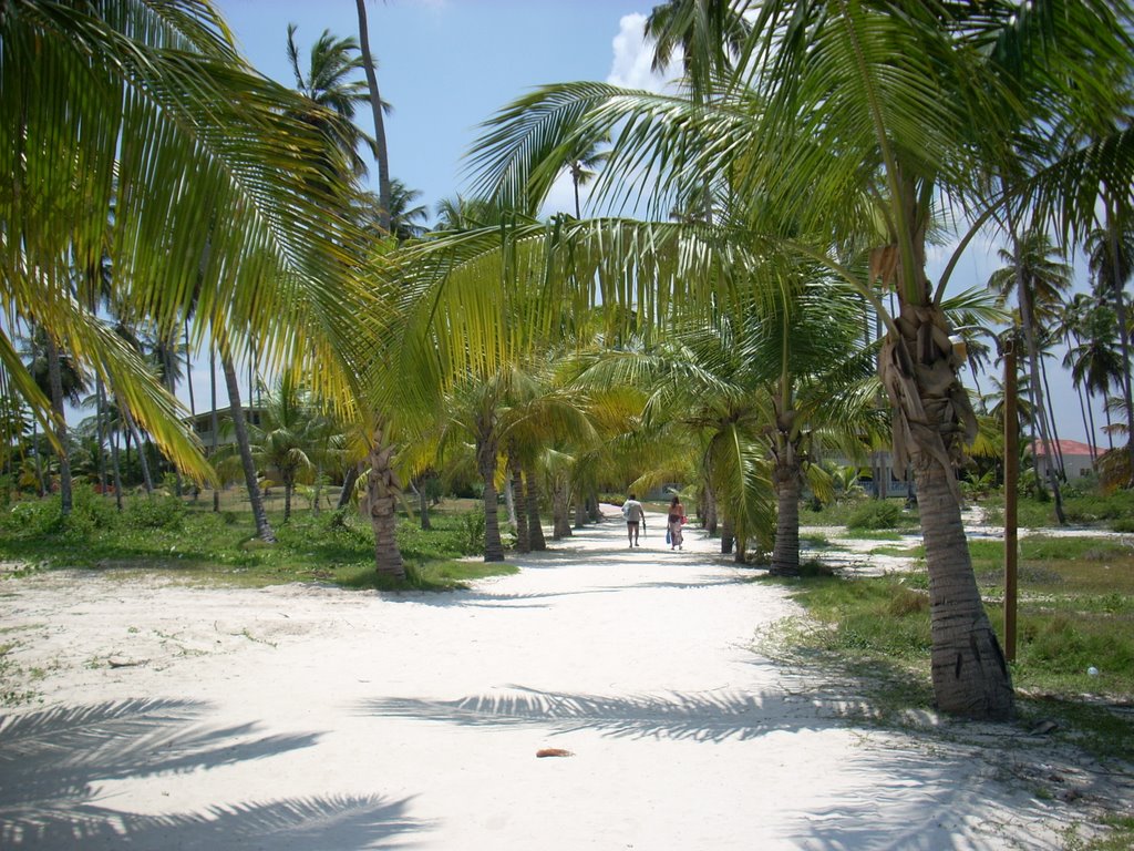 CAMINO HACIA LA PLAYA BÁVARO by VIERAFILMS