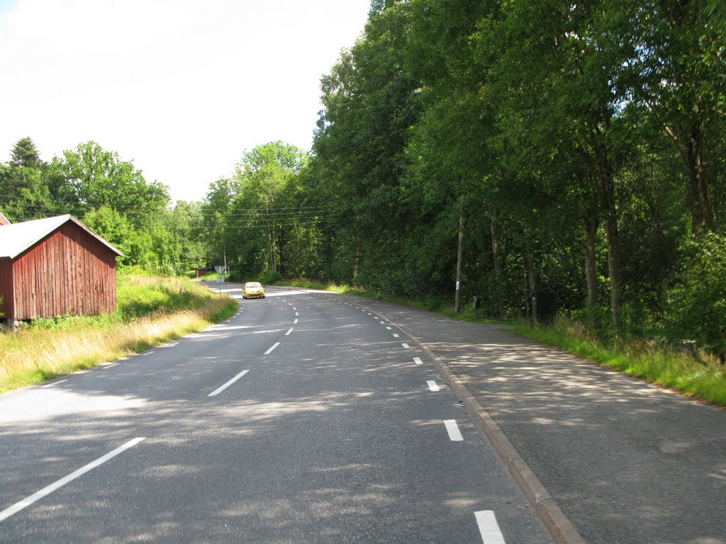 The road to Rävlanda in Hällingsjö 2010 by Biketommy