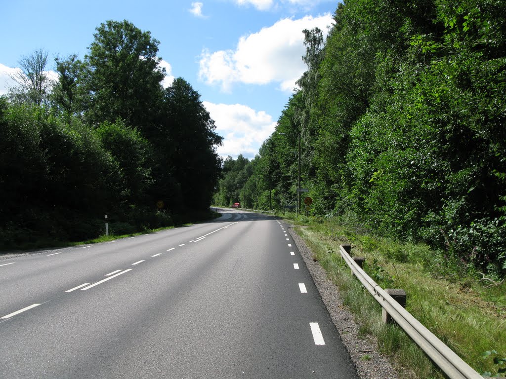 The road between Hällingsjö and Lindome in Hällesåker 2010 by Biketommy