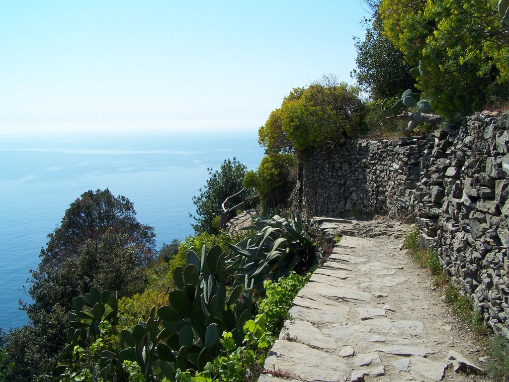 sentiero Corniglia-Vernazza by Guardia di Porta