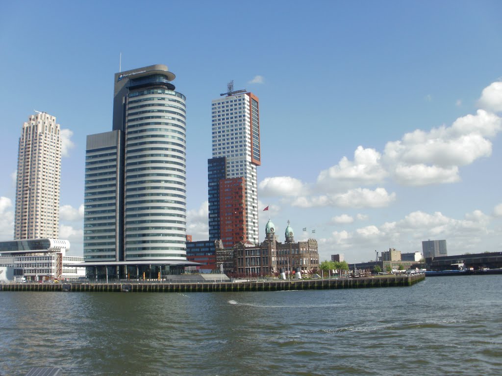 Rotterdam by Györgyiné Koncz Judit Betty