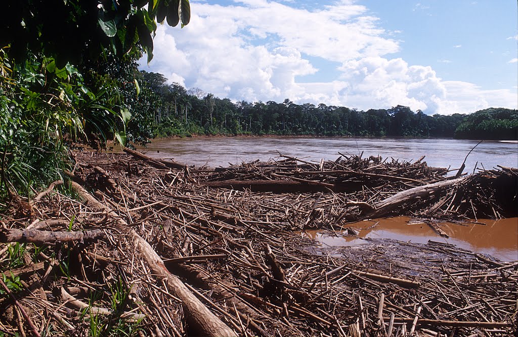 Río Alto Madre de Dios by Andreas Kaufer