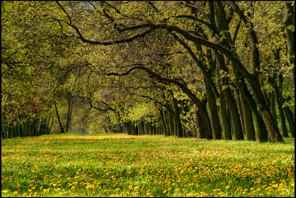 Łódź-Park Na Zdrowiu-gb-6 by millotaurus1