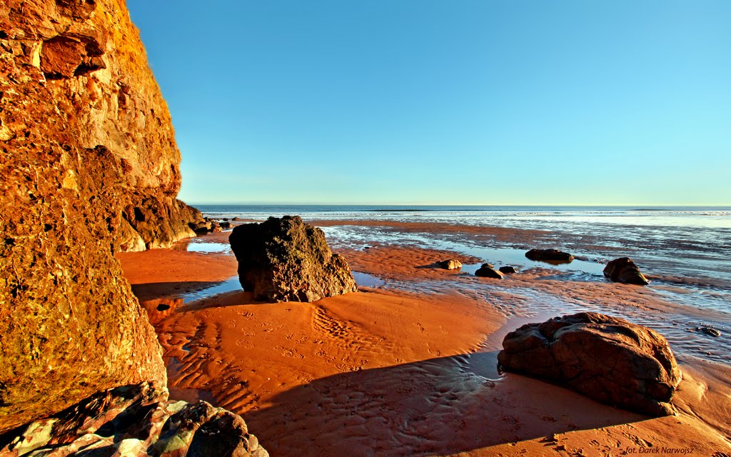 Lunan Bay / North Sea / Scotland by Darek Narwojsz