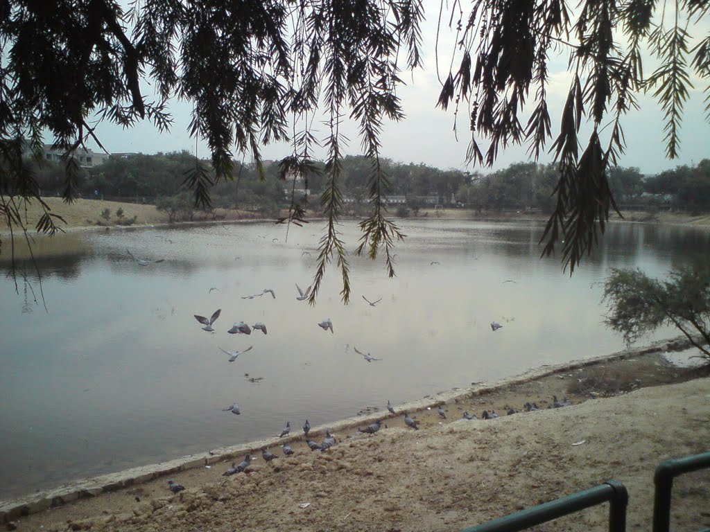 Lake - Swarn Jayanti Park, Rohini by Anil Dhaka