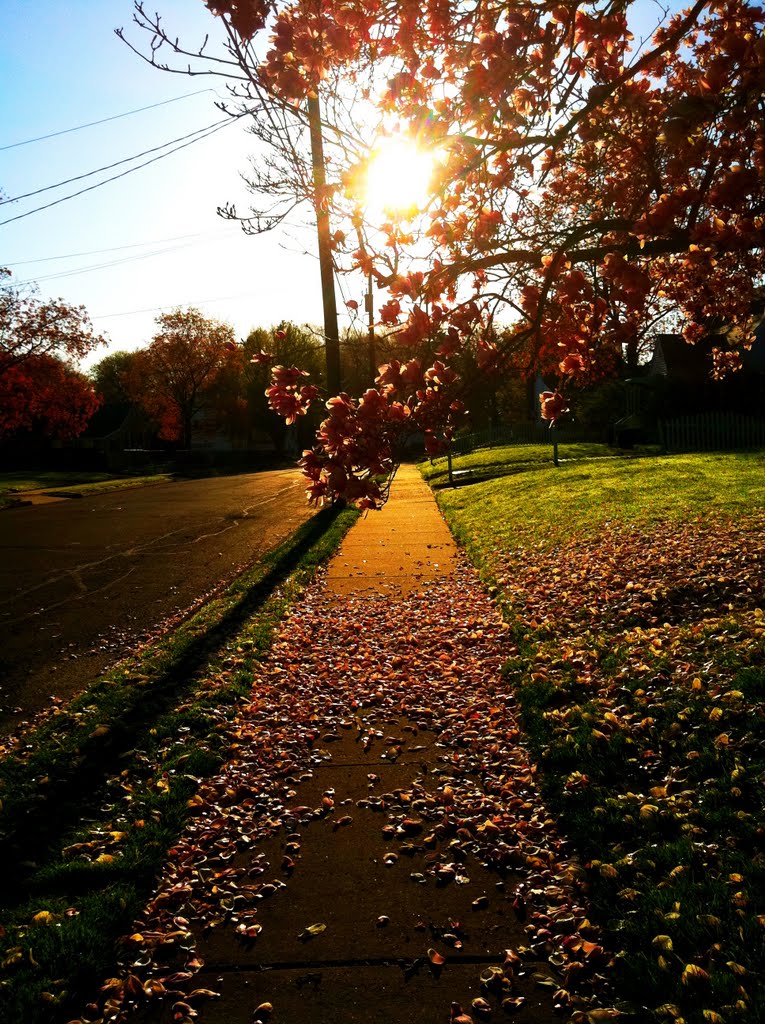 Hartford connecticut Sunrise by Adithya Bramdeo