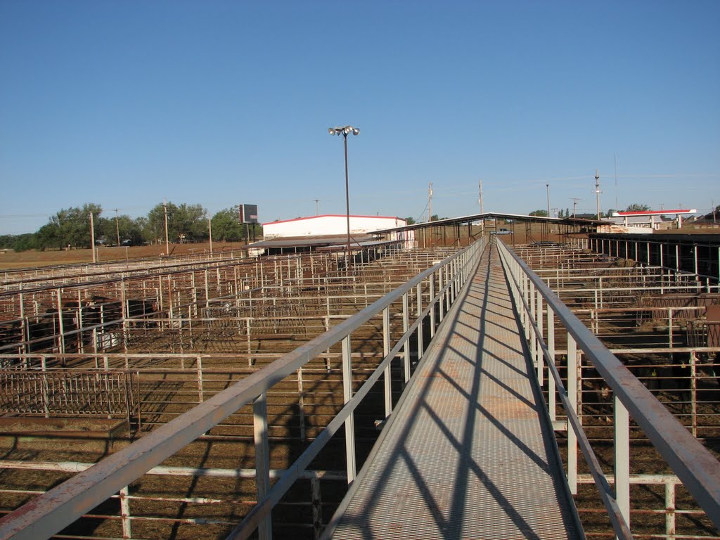 Elk City Livestock Auction Pens by robawalker