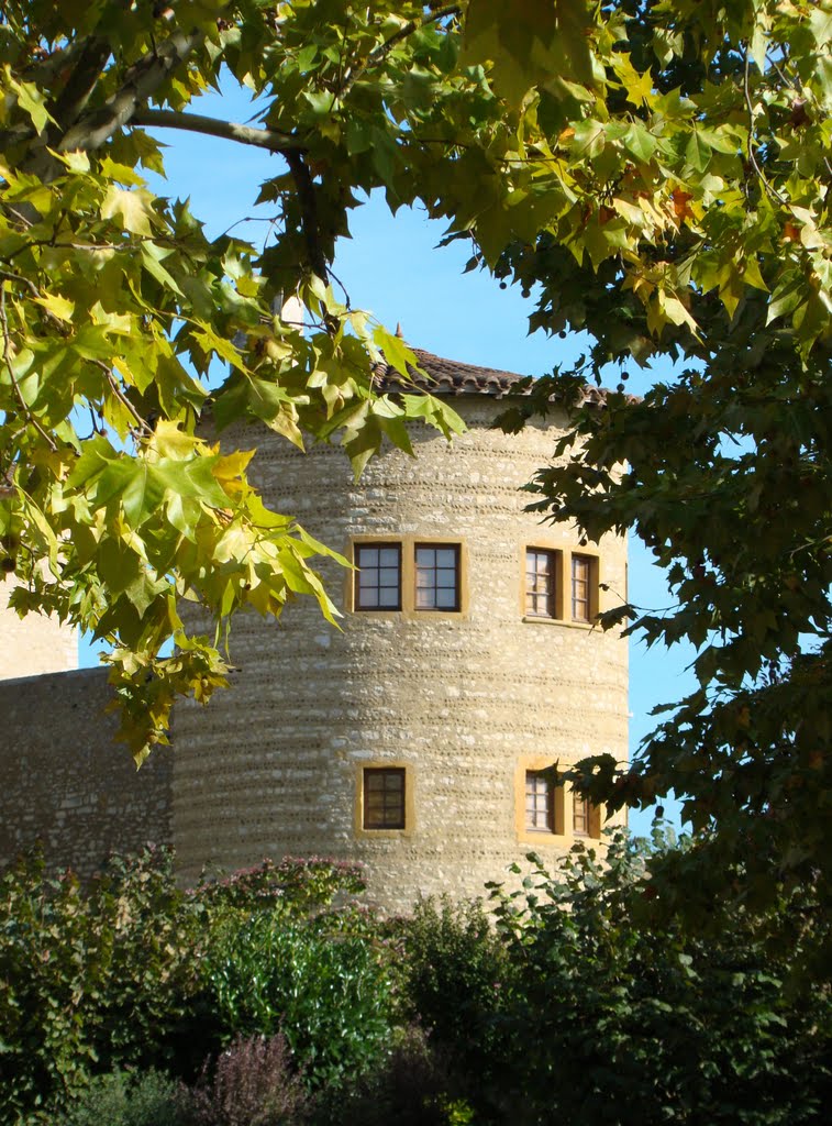 Le Château de F-01600 St Bernard (1) by C.Bréant