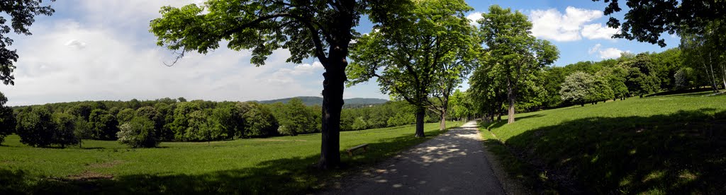 Lainzer Tiergarten by Häferl