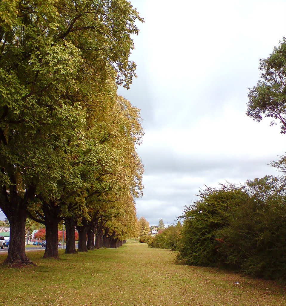 Guyra ,majestic autumn splendor ... by Michael Caine