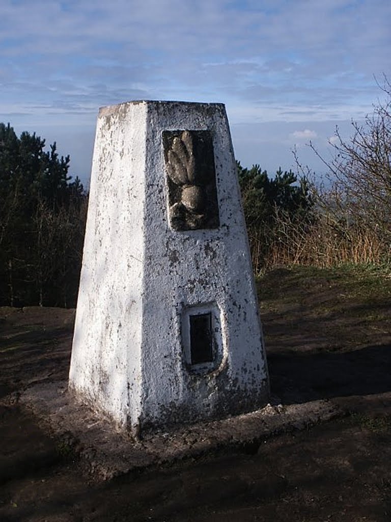 Raw Head Triangulation Pillar (Nr Chester) by Keith Stevens