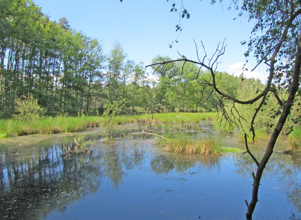 Vallei Zwarte Beek Koersel by FrClaesen