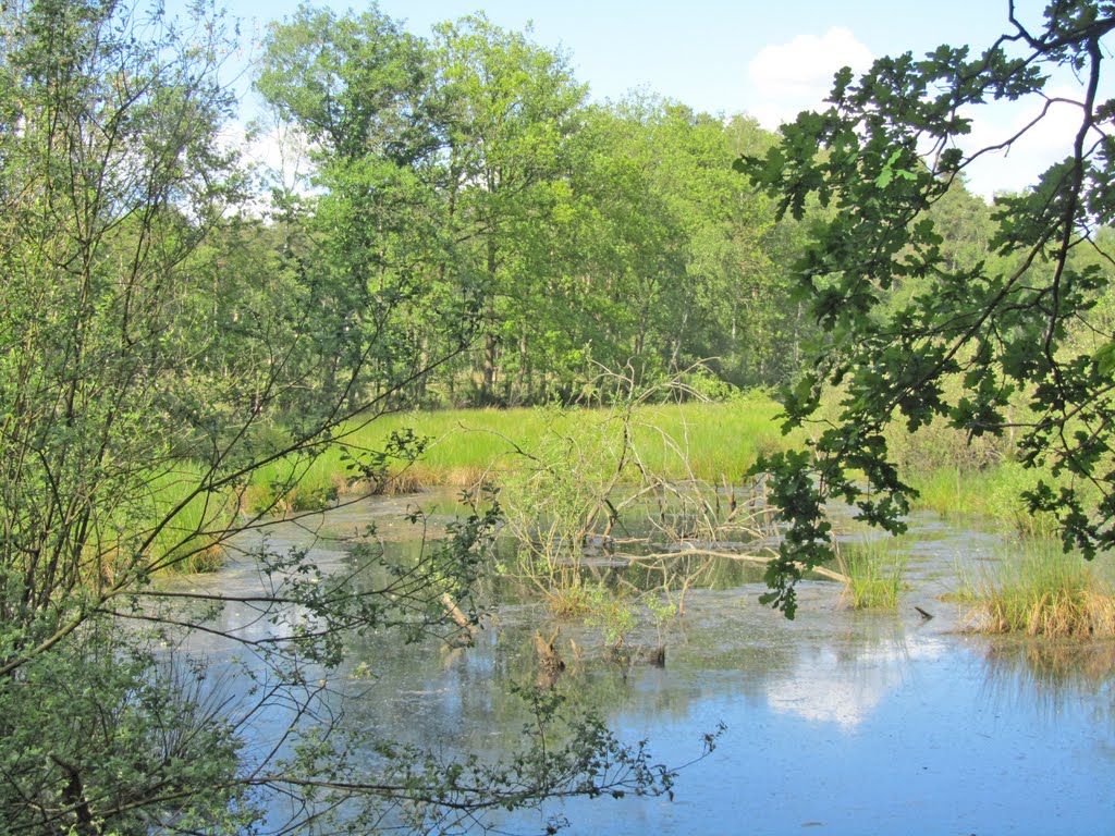 Vallei Zwarte Beek Koersel by FrClaesen