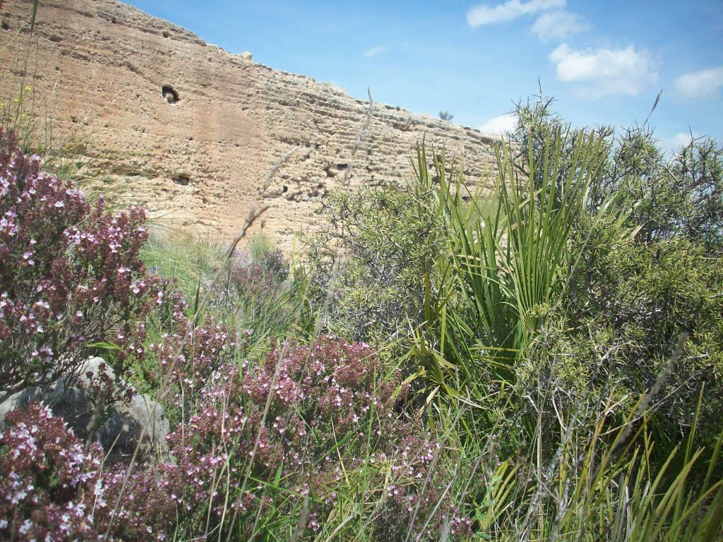 Castillo de La Asomada.Puerto de La Cadena. Murcia by Emilio.F.F