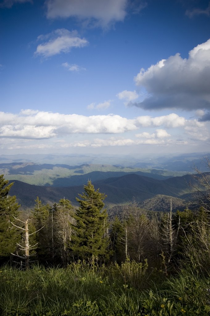 Clingmans Dome by samiforzano