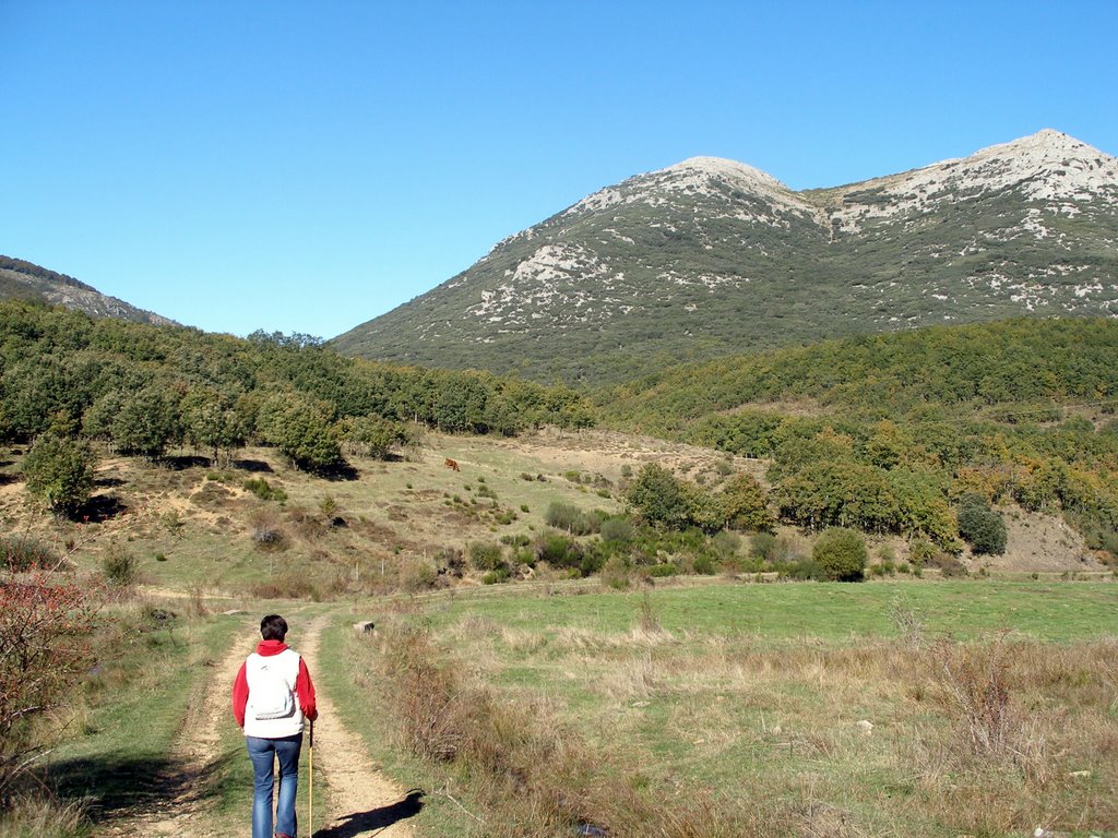 Camino de la Tejeda de Tosande 3 by Alfonso Somoza de la…