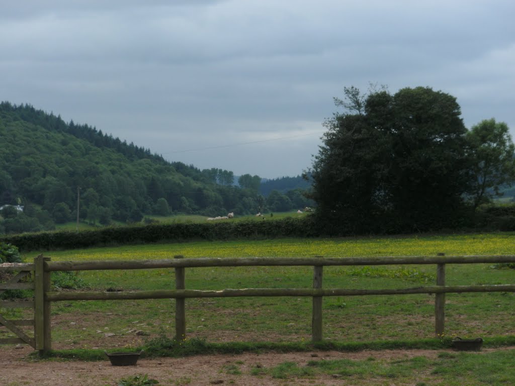 View west from Tump Farm CL site near Whitchurch by Forester2009