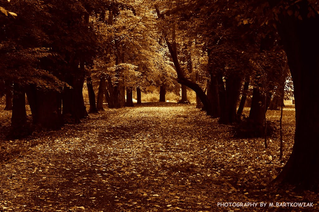 Grodziski Park. by blade78