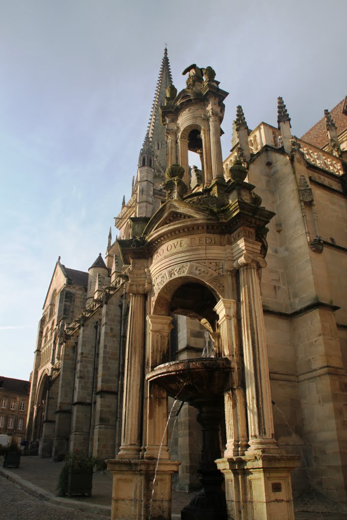 Cathédral d'Autun, un matin de fin d'été by Bovitch