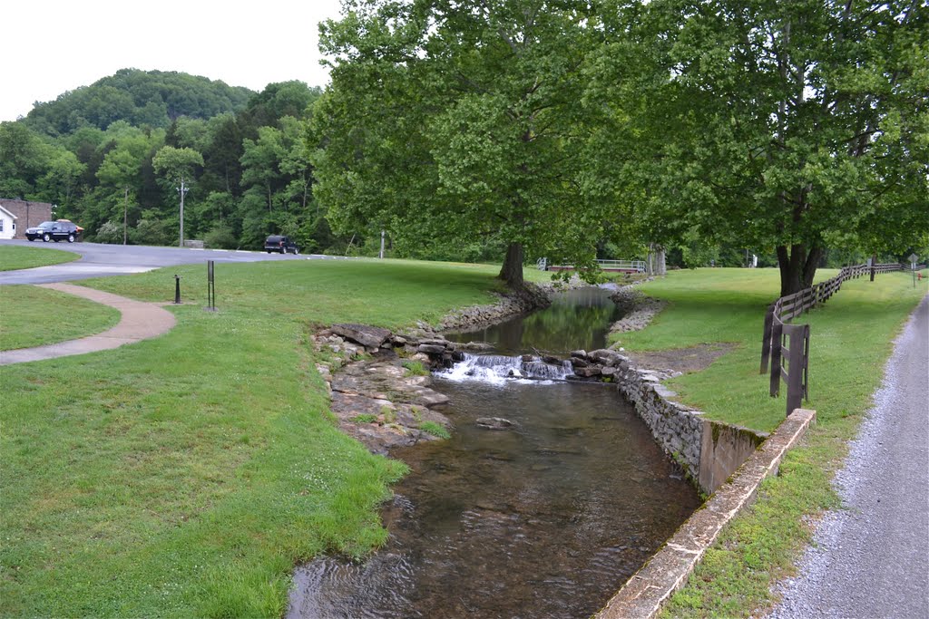 Cascade Hollow Creek by Buddy Rogers