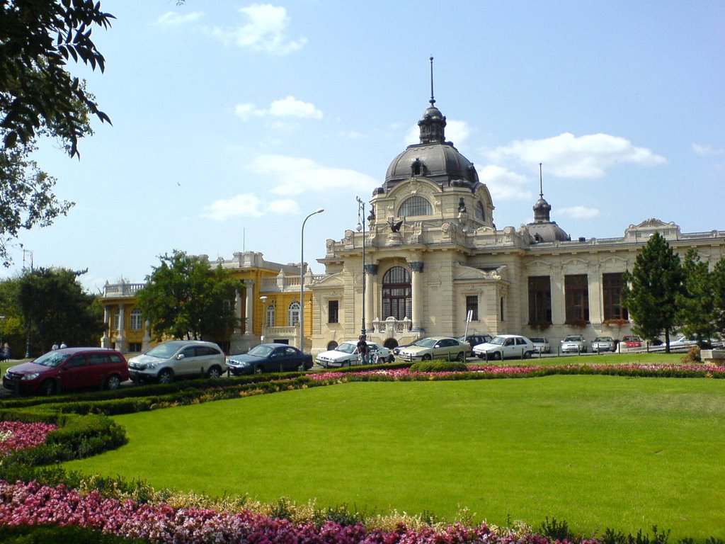 Széchenyi Thermal Bath, Budapest by Száraz Mihály