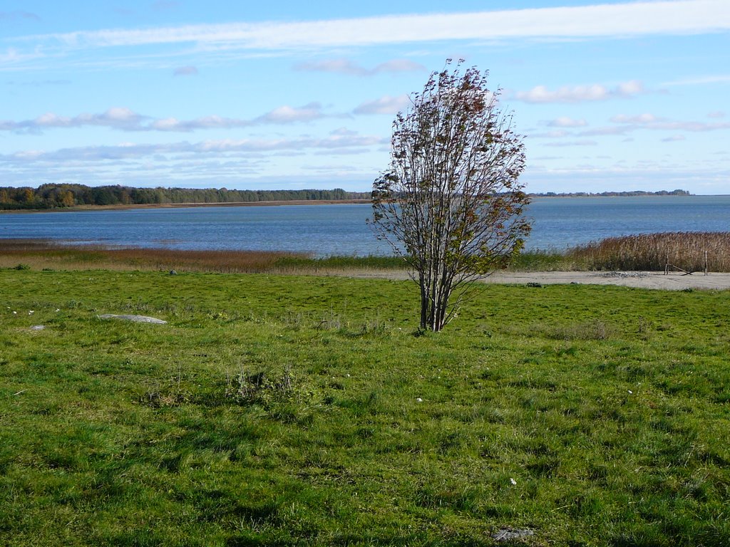 Ridala Parish, Lääne County, Estonia by Taavi L